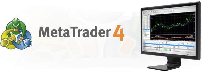 Mayzus Erfahrungen - MetaTrader 4